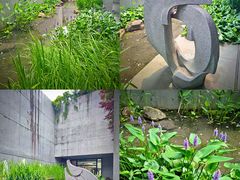 -中国湿地博物馆