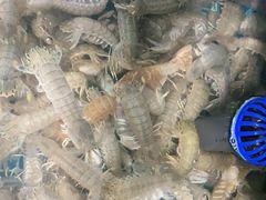 -宾朋海鲜美食餐厅·特色美食(兴海路店)