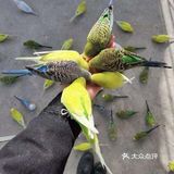 168元就可以玩一次的儿童农场