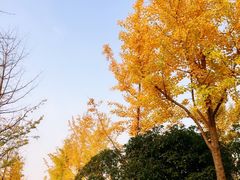 -唐城墙遗址公园