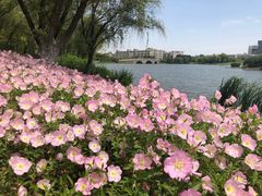 -江南大学(蠡湖校区)