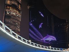 -演武大桥观景平台