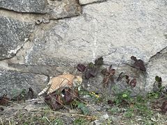 -天津盘山风景名胜区