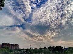 -同济大学(嘉定校区)