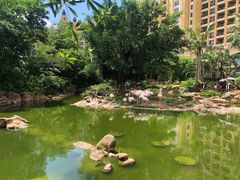 -横琴湾水世界