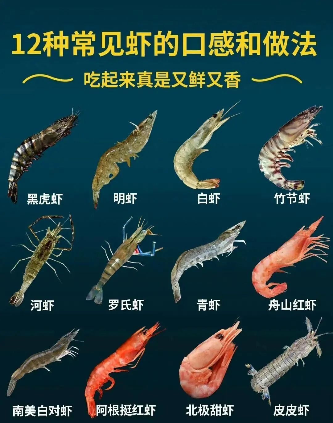12种常见虾类口感特点,附烹饪做法!