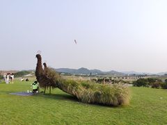 -光明小镇欢乐田园