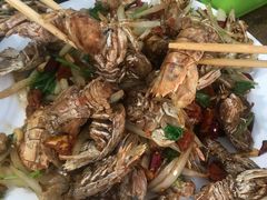 -烁佳海鲜大馅饺子