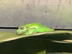 -可伦宾野生动物保护区