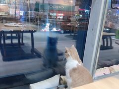-藏猫猫咖啡主题馆(中央大道店)