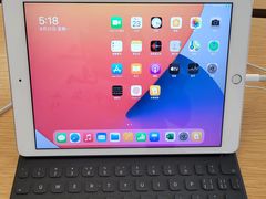 -Apple零售店(深圳益田假日广场店)
