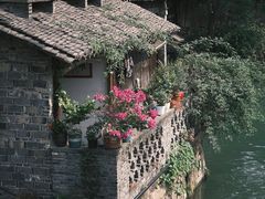 -乌镇西栅景区