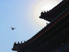 -天津大悲禅院