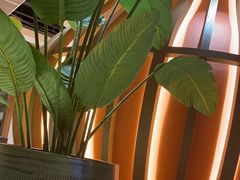 -青水瓦台汤泉(未央店)