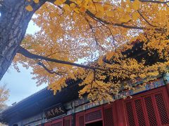 -红螺寺