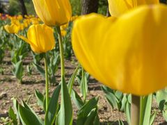 -长春公园(普阳街道)