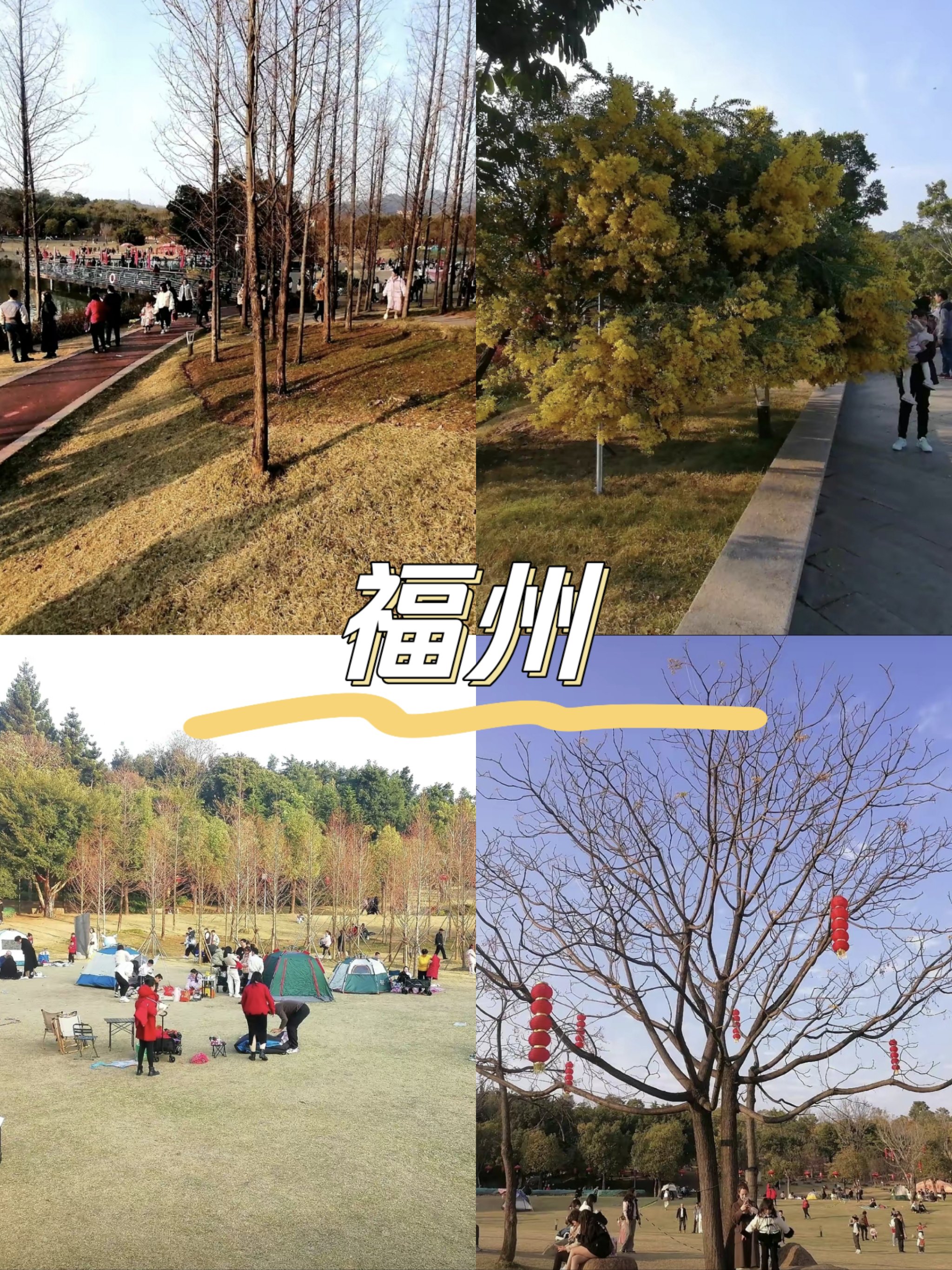 福州牛岗山公园:绿意盎然的城市绿洲