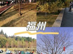 -牛岗山公园