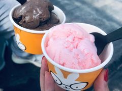 -前小桔亲子创意农场·草莓采摘·露营烧烤