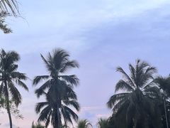 -兴隆槟榔园休闲农庄