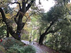 -塔川景区