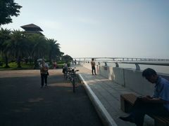 -大湾区中央湿地公园
