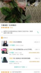 -明星艺美造型