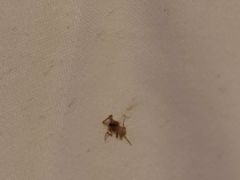 -锦江之星(南京新街口店)