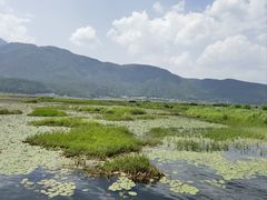 -腾冲北海湿地