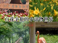 -哈尔滨北方森林动物园