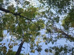 -盘龙城国家考古遗址公园