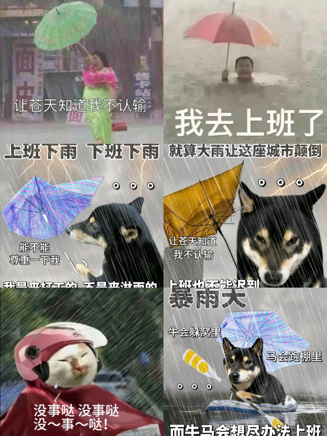创作者赏金计划#0元玩转这座城#专治各种不开心搞笑视频#搞笑名 