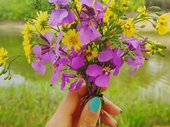 -大兴滨河森林公园