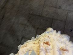 -越秀西湖花市(广州城市广场花卉店)