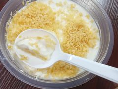 椰汁原味双皮奶-聚椰坊·海南清补凉·糖水·奶茶·小吃