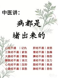 -玛莲朵·海菲秀冰珀科