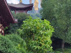 -庐山风景名胜区-东林大佛