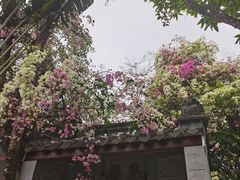 -深圳国际园林花卉博览园