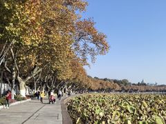 -北山街历史文化街区
