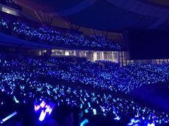 -南京奥林匹克体育中心-体育馆