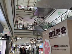 -万达广场(大明宫店)