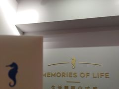 -海马体照相馆(佛山岭南站店)