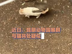 -云南野生动物园