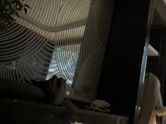 -华夏良子·足道·SPA·艾灸(金皇大厦店)
