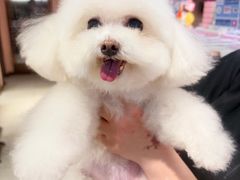 -FAELING PETS美天灵宠物(富力广场店)