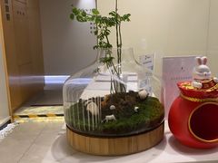 -齐玉齿科JADENTAL