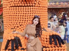 -灵玲国际马戏城