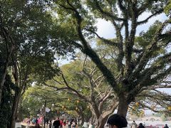 -江心屿景区