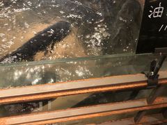 -上名堂·鱼头好吃(体育场路店)