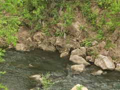 -羊山湖公园